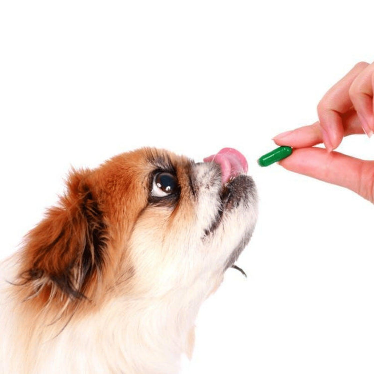 Voe­dings­sup­ple­men­ten hond - Dogzoo