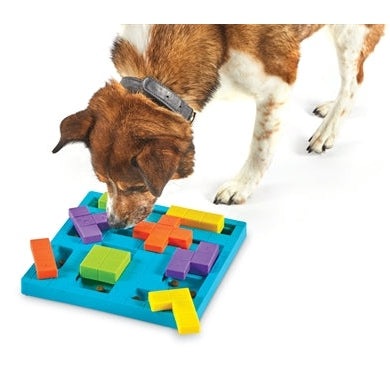 Brightkins Bark Brain Game Treat Puzzle