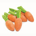 Critter's Choice Happy Pet Carrot Nibblers Knaaghout