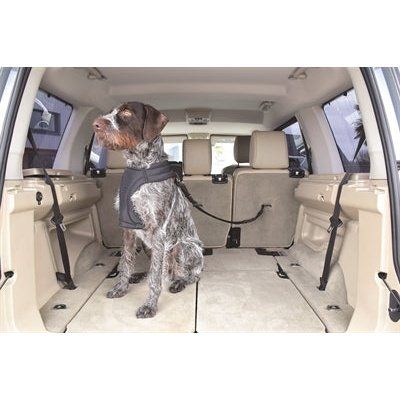 Kong Autogordel Hond Cargo Swivel