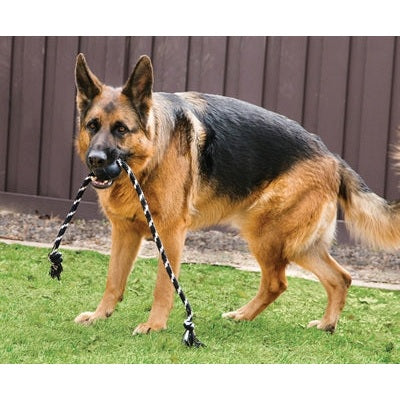 Kong Extreme Bal Met Touw Zwart / Wit