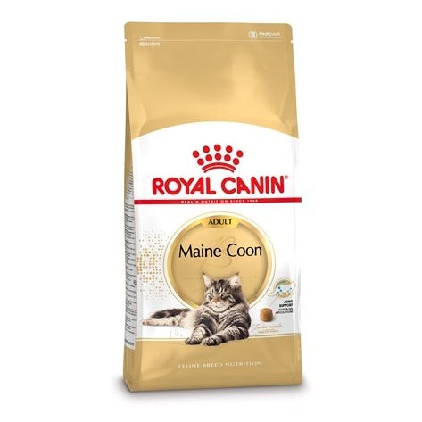 Royal Canin Maine Coon