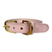 Sazzz Halsband Hond Braveheart Classic Leer Lichtroze