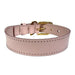 Sazzz Halsband Hond Braveheart Classic Leer Lichtroze