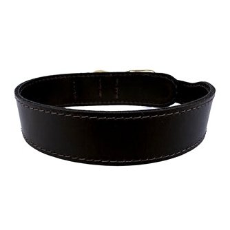 Sazzz Halsband Hond Pioneer Classic Leer Donkerbruin