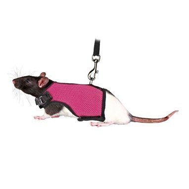 Trixie Softtuig Met Riem Voor Ratten Assorti