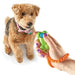 Brightkins Smarty Pooch Training Clicker Bone