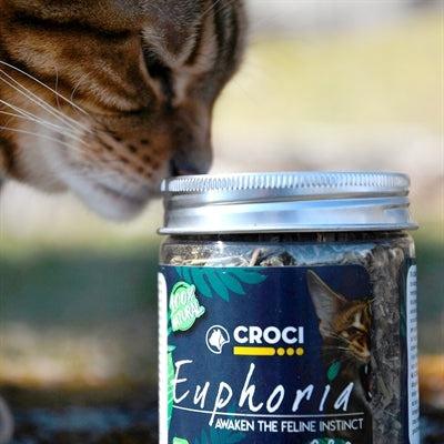 Croci Euphoria Catnip Pot