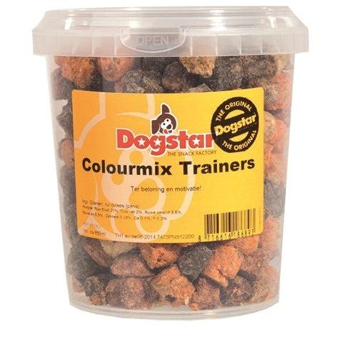 Dogstar Colour Mixtrainers