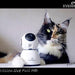 Eyenimal Pet Vision Live Hd Camera