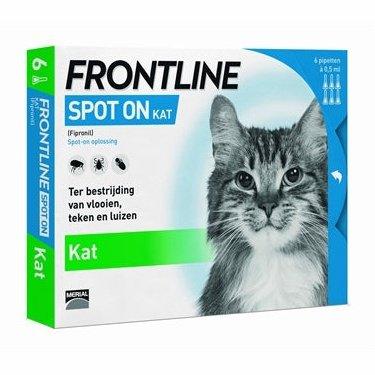 Frontline Kat Spot On