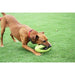 Happy Pet Grubber Interactieve Rugbybal Mini Assorti