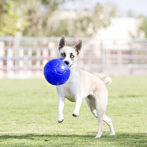 Jolly Soccer Ball Blauw