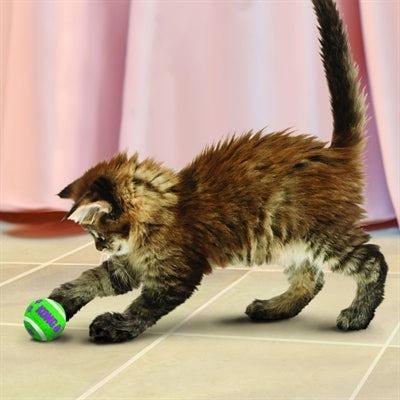 Kong Kat Tennisballen Met Bellen