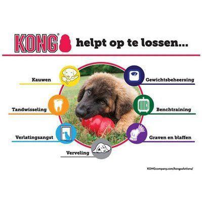 Kong Puppy Roze Of Blauw Assorti LARGE 10X7X7 CM