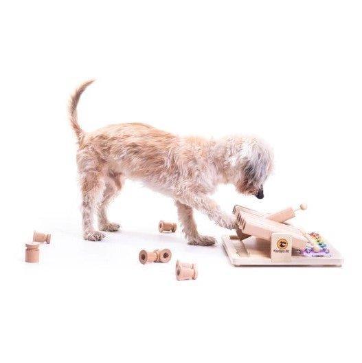 My Intelligent Pets - Pet's Piano - Hondenpuzzel