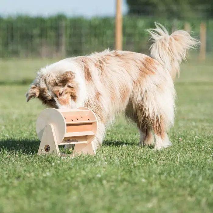 My Intelligent Pets - Wheel of Fortune - Hondenpuzzel
