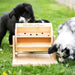 My Intelligent Pets - Wheel of Fortune - Hondenpuzzel