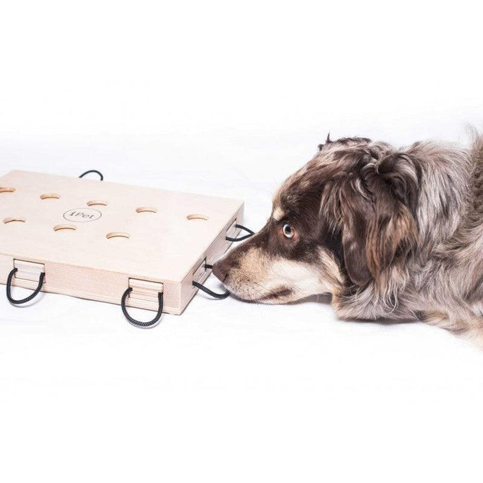 My Intelligent Pets - iPet - Hondenpuzzel