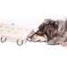 My Intelligent Pets - iPet - Hondenpuzzel