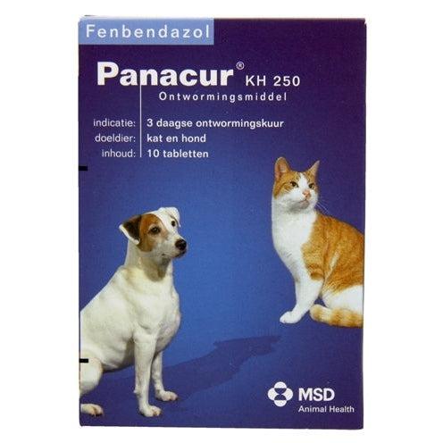 Panacur Hond / Kat