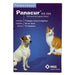 Panacur Hond / Kat