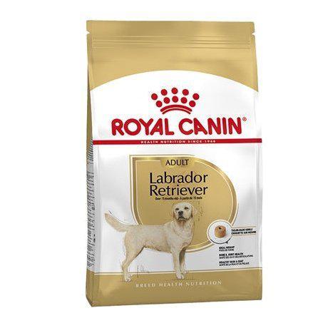 Royal Canin Labrador Retriever Adult