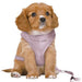 Trixie Hondentuig Junior Puppy Softtuig Met Riem Lila