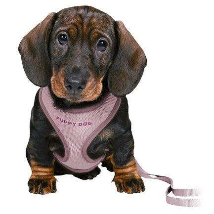 Trixie Junior Puppytuig Soft Met Riem Lila