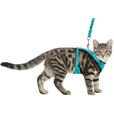 Trixie Kattentuig Mesh Y-Vorm Met Elastische Riem Assorti