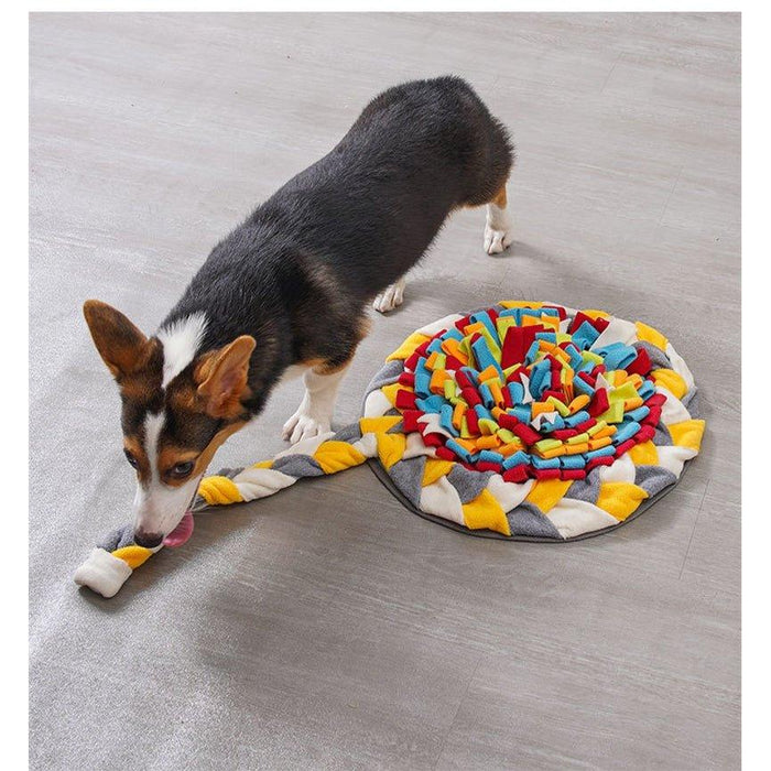 Xatory - Snuffelmat - Lolly Rainbow - 76X40 CM - Snuffelmat - Hondenpuzzel - Honden speelgoed - Intelligentie