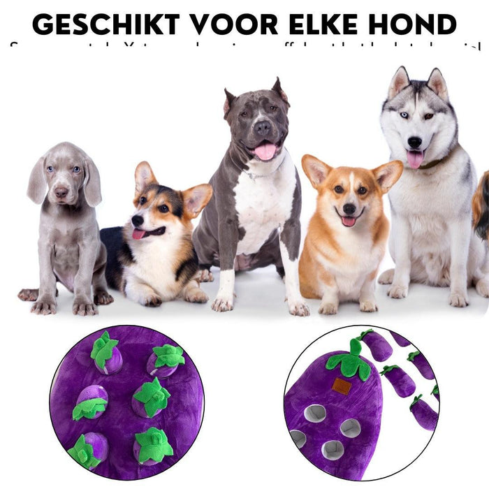 Xatory - Snuffelmat hond - Aubergine- Snuffelmat - Anti Schrok gedrag - Honden speelgoed