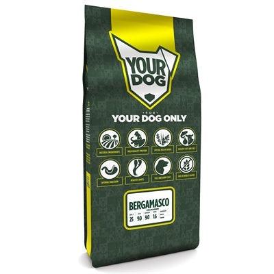 Yourdog Bergamasco Volwassen-HOND-YOURDOG-12 KG (400027)-Dogzoo